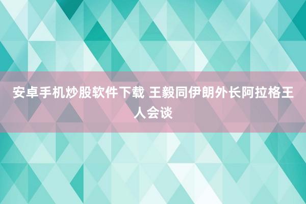 安卓手机炒股软件下载 王毅同伊朗外长阿拉格王人会谈