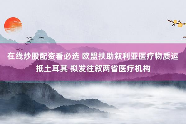 在线炒股配资看必选 欧盟扶助叙利亚医疗物质运抵土耳其 拟发往叙两省医疗机构