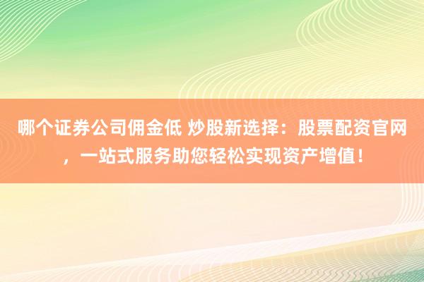 哪个证券公司佣金低 炒股新选择：股票配资官网，一站式服务助您轻松实现资产增值！