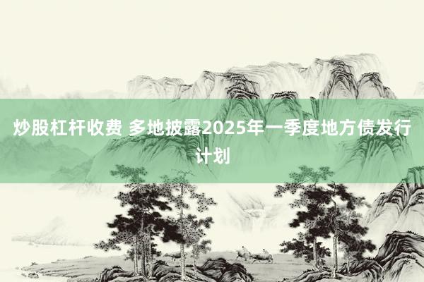 炒股杠杆收费 多地披露2025年一季度地方债发行计划