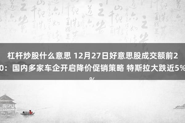 杠杆炒股什么意思 12月27日好意思股成交额前20：国内多家车企开启降价促销策略 特斯拉大跌近5%