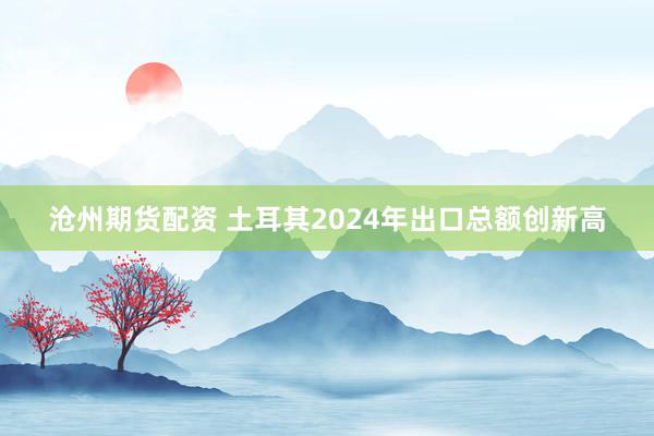 沧州期货配资 土耳其2024年出口总额创新高