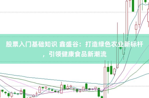 股票入门基础知识 鑫盛谷：打造绿色农业新标杆，引领健康食品新潮流
