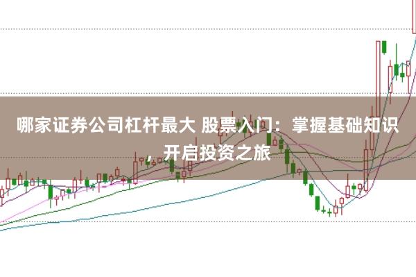 哪家证券公司杠杆最大 股票入门：掌握基础知识，开启投资之旅