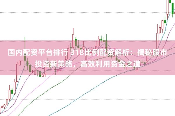 国内配资平台排行 318比例配资解析：揭秘股市投资新策略，高效利用资金之道