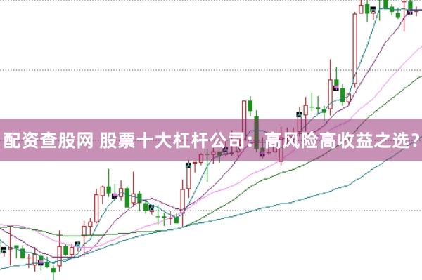 配资查股网 股票十大杠杆公司：高风险高收益之选？