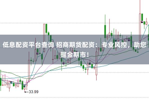 低息配资平台查询 招商期货配资：专业风控，助您掘金期市！