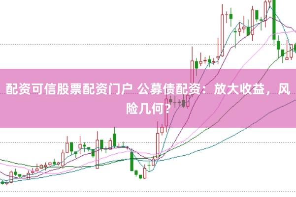 配资可信股票配资门户 公募债配资：放大收益，风险几何？