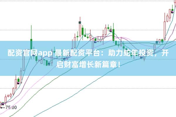 配资官网app 最新配资平台：助力蛇年投资，开启财富增长新篇章！