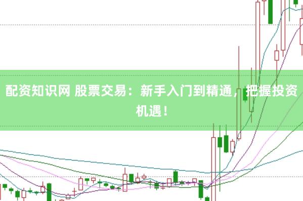 配资知识网 股票交易：新手入门到精通，把握投资机遇！