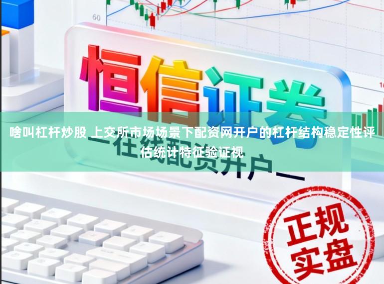 啥叫杠杆炒股 上交所市场场景下配资网开户的杠杆结构稳定性评估统计特征验证视